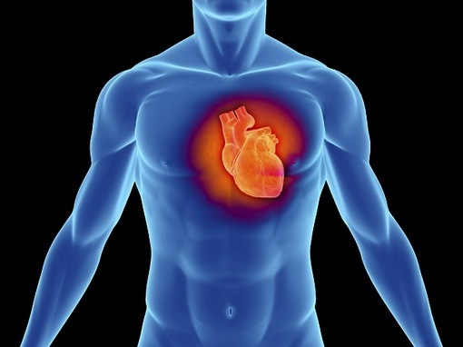 Диагностика кардиомиопатии